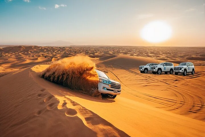 4 Hours Dubai Desert Experience: Camel + Sandboard + Falcon Photo
