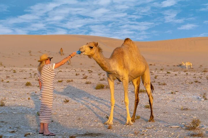 4x4 Red Dune Dubai Desert Safari, Dune Bash, Camel Ride & BBQ