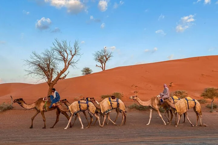 4x4 Red Dune Dubai Desert Safari, Dune Bash, Camel Ride & BBQ