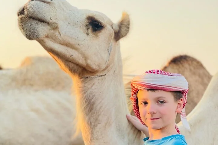 5-Hour Private Guided Desert Dinner in Dubai