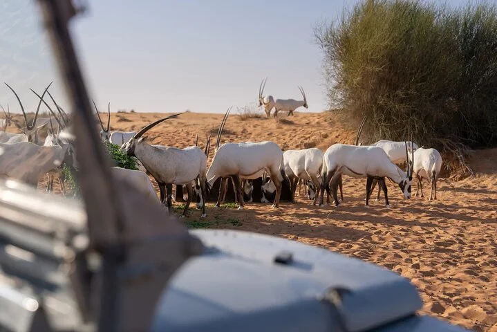 57 Heritage Desert Experience