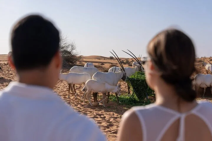 57 Heritage Desert Experience