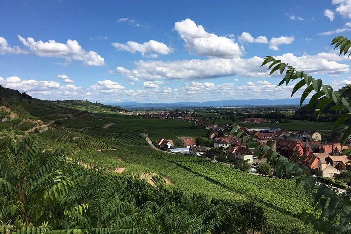 5H00 ALSACE PRIVATE TOUR-Castle, Villages, Wine, Friendly Driver