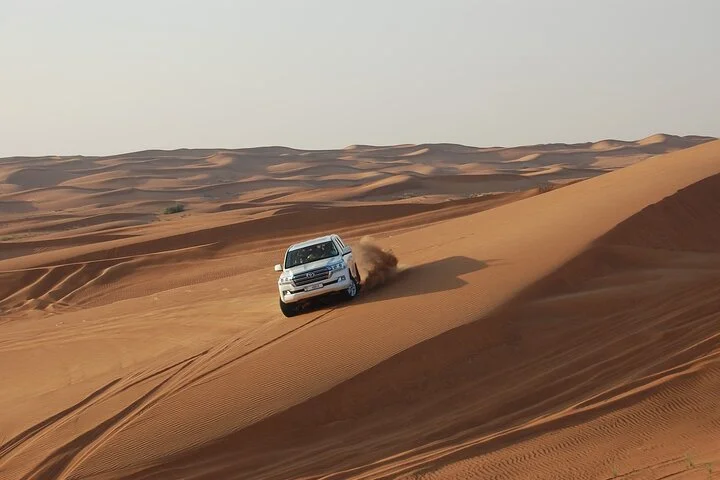 7 Hour Dubai Desert Safari Experience