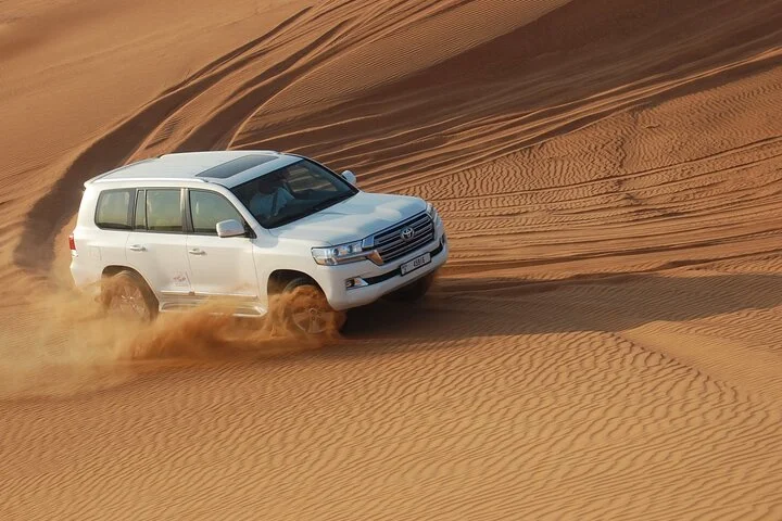 7 Hour Dubai Desert Safari Experience