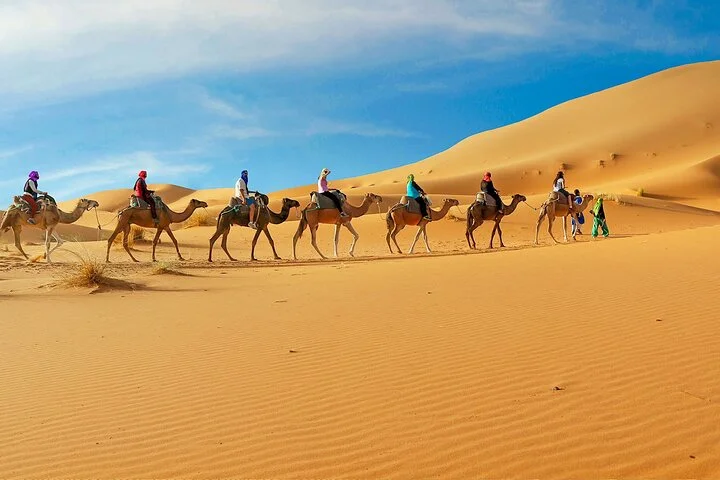 7 Nights 8 Days Dubai, Abu Dhabi and Fujairah Package