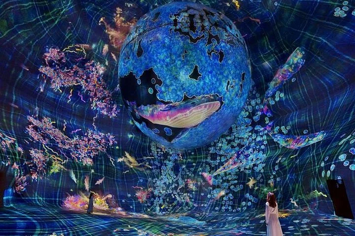 Abrahamic House Tour with Louvre Museum and TeamLab Phenomena