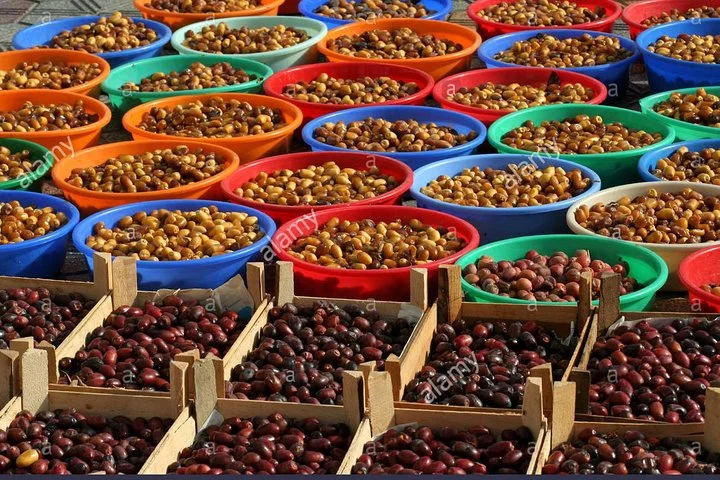 Abu Dhabi City Tour From Dubai