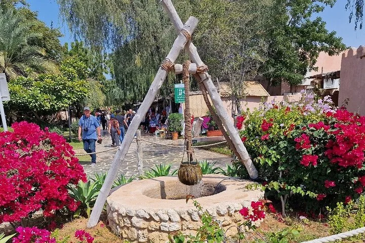 Abu Dhabi Full Day Private City Tour with Grand Mosque