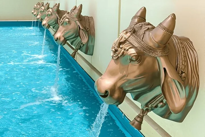 Abu Dhabi Premium Full-Day Sightseeing Tour From Dubai - Private