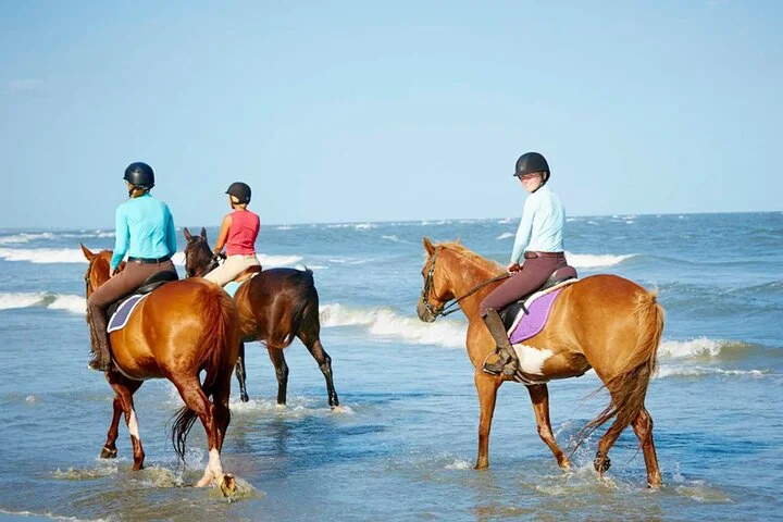 Adventurous Horse Riding in Antalya