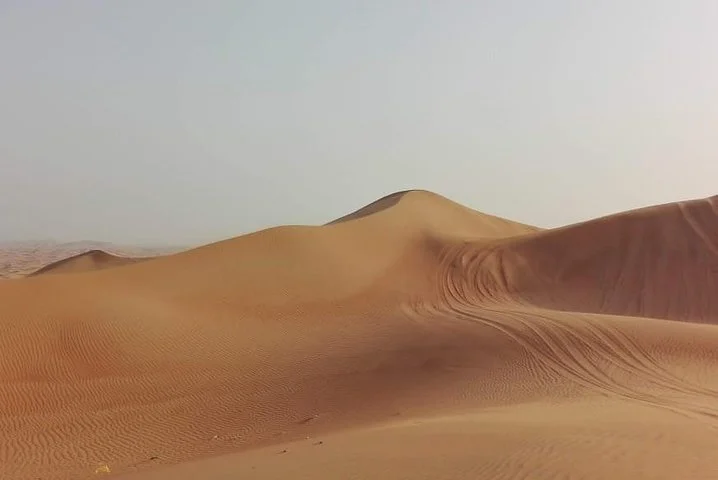 Al Ain city private tour with lunch from Dubai