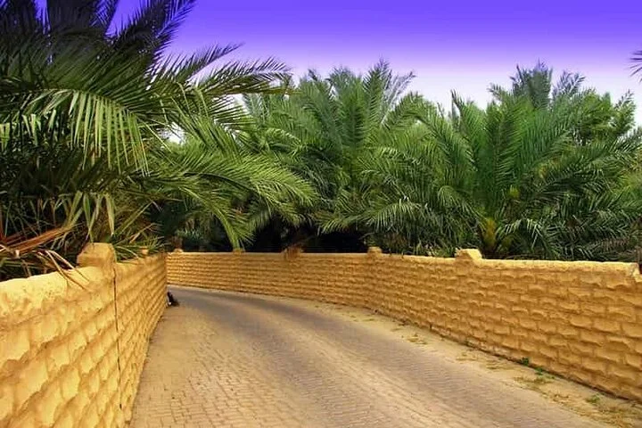 Al Ain City Tour Discover the Oasis of the Emirates