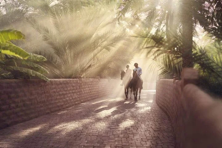 Al Ain City Tour with Lunch