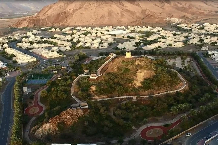 Al Ain City Tour with Lunch