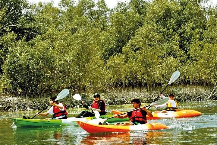 Al Quaa Stargazing Spot: Camping in the Darkest Spot in UAE!
