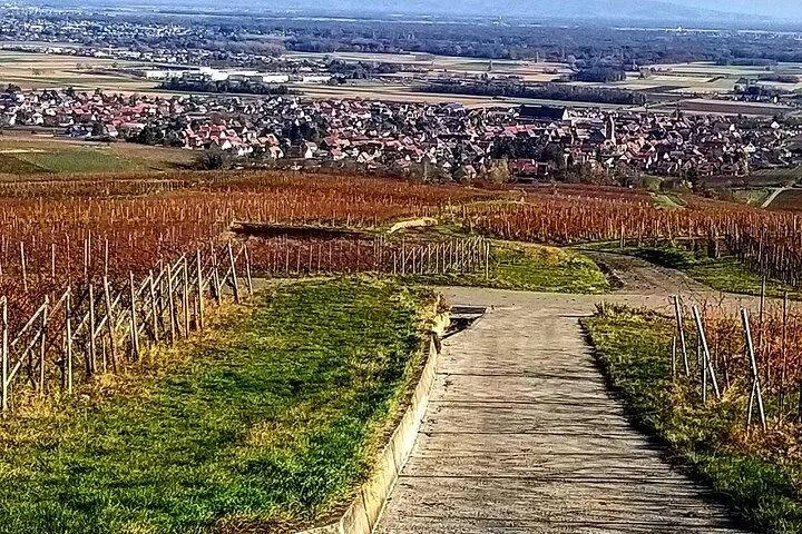 Alsace wine tour and medieval villages. Small group guided tour