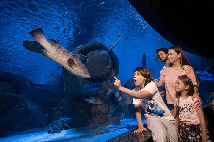 Antalya Aquarium: Admission Ticket & Optional Transfer