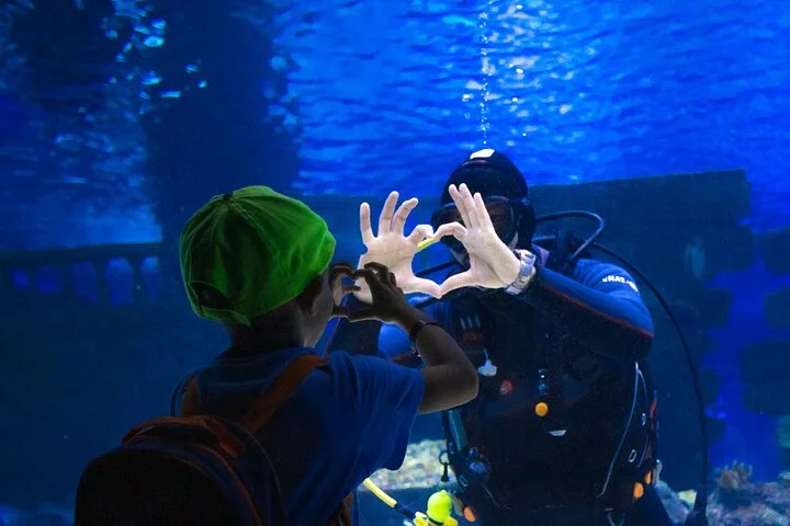 Antalya Aquarium: Admission Ticket & Optional Transfer