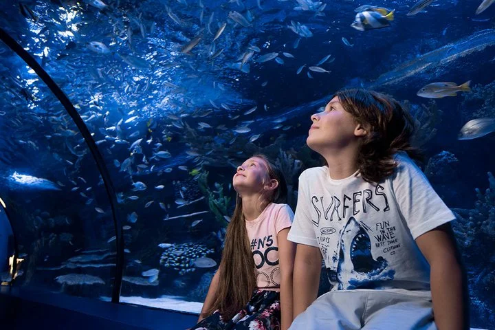 Antalya Aquarium: Admission Ticket & Optional Transfer