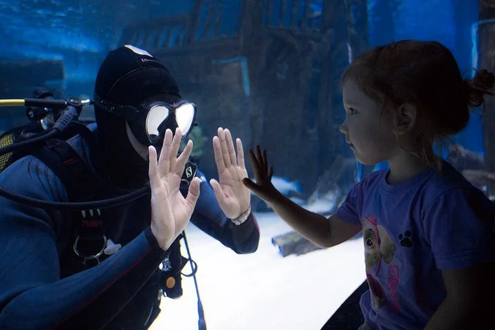 Antalya Aquarium: Admission Ticket & Optional Transfer