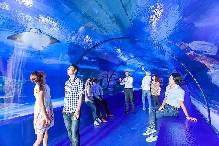 Antalya Aquarium: Admission Ticket & Optional Transfer
