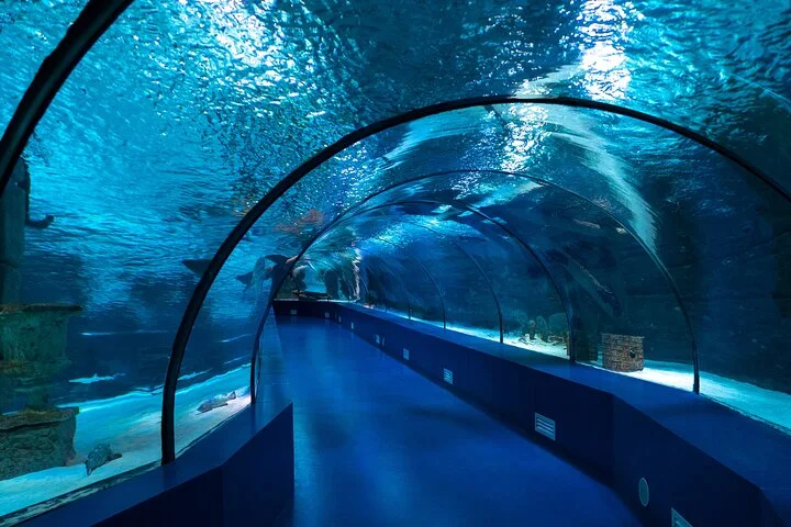 Antalya Aquarium: Admission Ticket & Optional Transfer