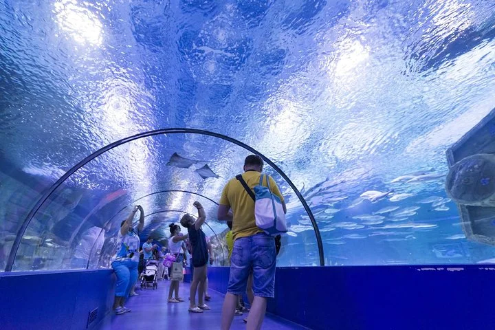 Antalya: Aquarium Ticket With Optional Transfer