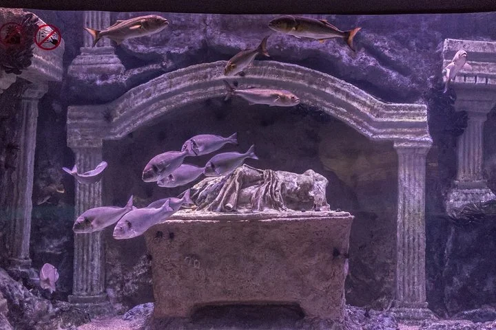 Antalya: Aquarium Ticket With Optional Transfer