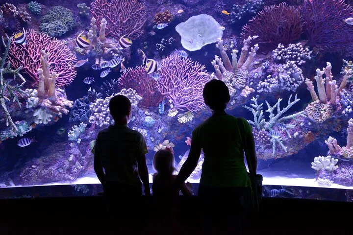 Antalya: Aquarium, Wax Museum & Combo Package Options
