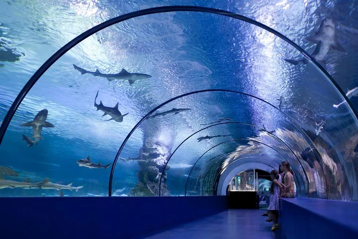 Antalya: Aquarium, Wax Museum & Combo Package Options