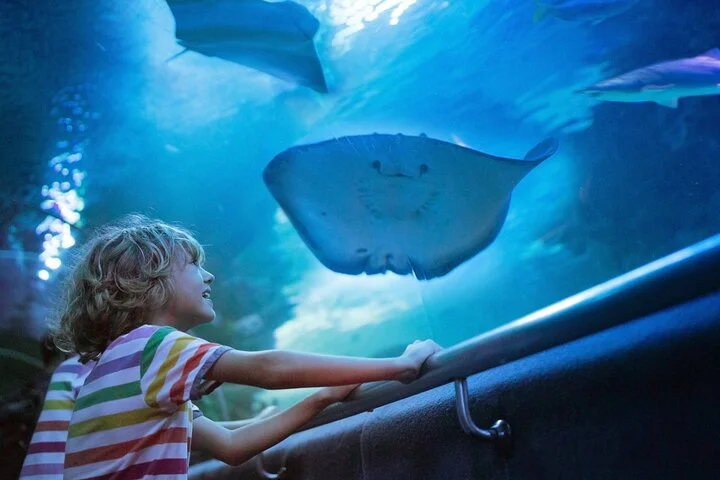 Antalya: Aquarium, Wax Museum & Combo Package Options