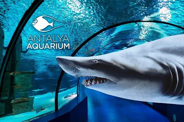 Antalya: Aquarium, Wax Museum & Combo Package Options
