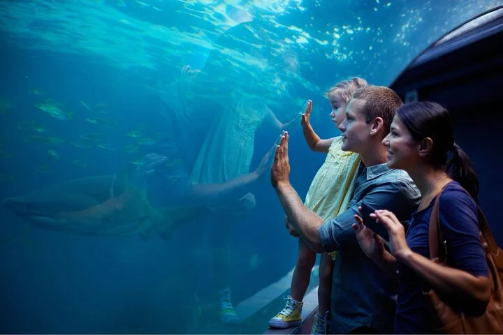 Antalya: Aquarium, Wax Museum & Combo Package Options