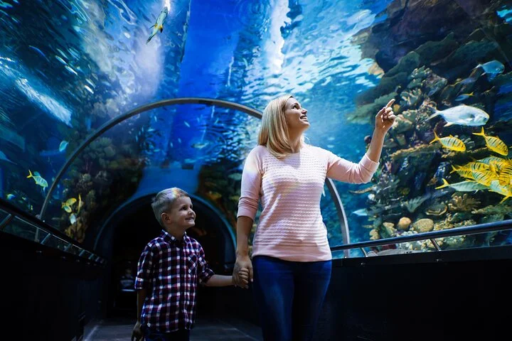Antalya: Aquarium, Wax Museum & Combo Package Options