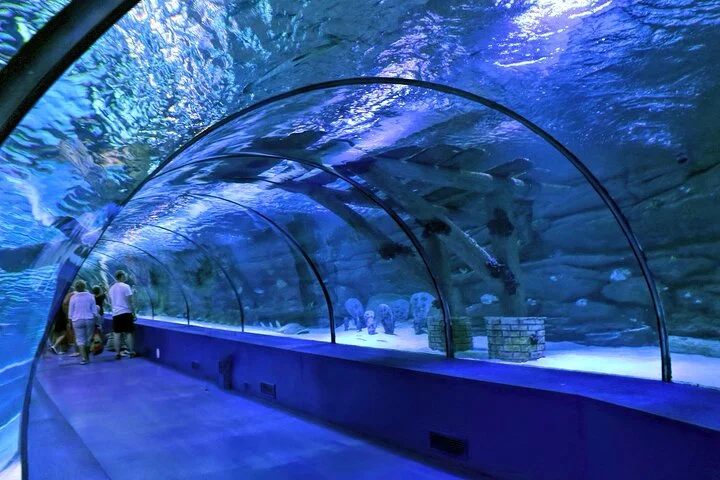 Antalya: Aquarium, Wax Museum & Combo Package Options