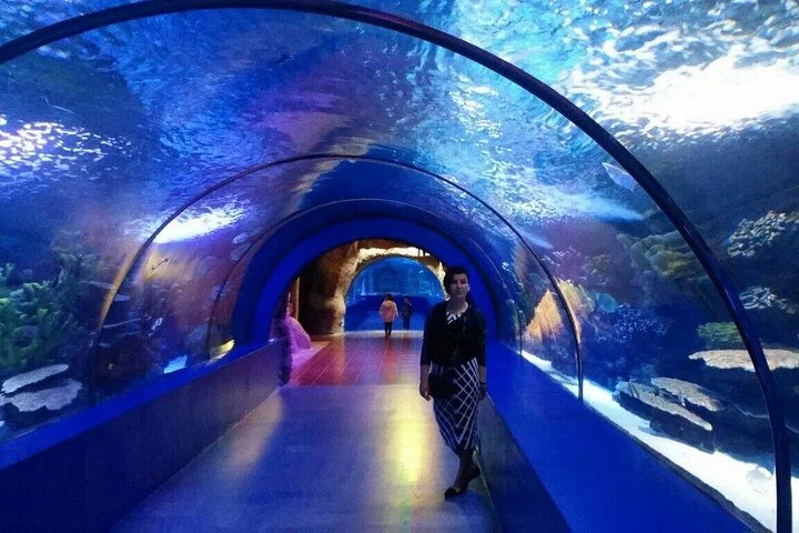 Antalya: Aquarium, Wax Museum & Combo Package Options