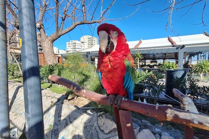 Antalya City Tour by Night