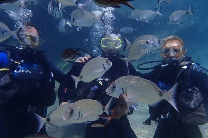 Antalya Scuba Diving Tour With Lunch and Return Transfers