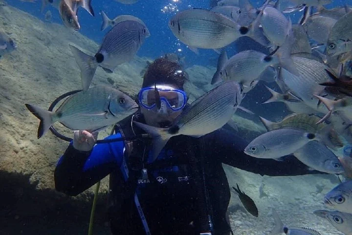 Antalya Scuba Diving Tour With Lunch and Return Transfers