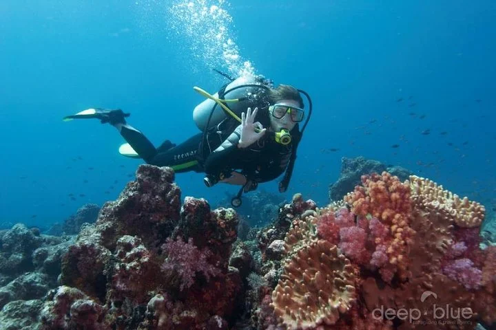 Antalya Scuba Diving W/Lunch & Transfers
