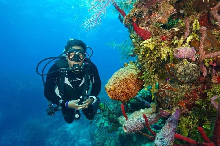 Antalya Scuba Diving W/Lunch & Transfers