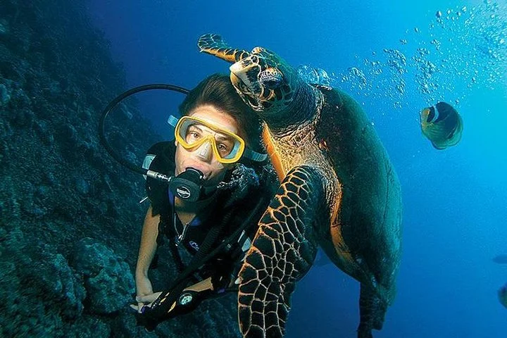 Antalya Scuba Diving W/Lunch & Transfers