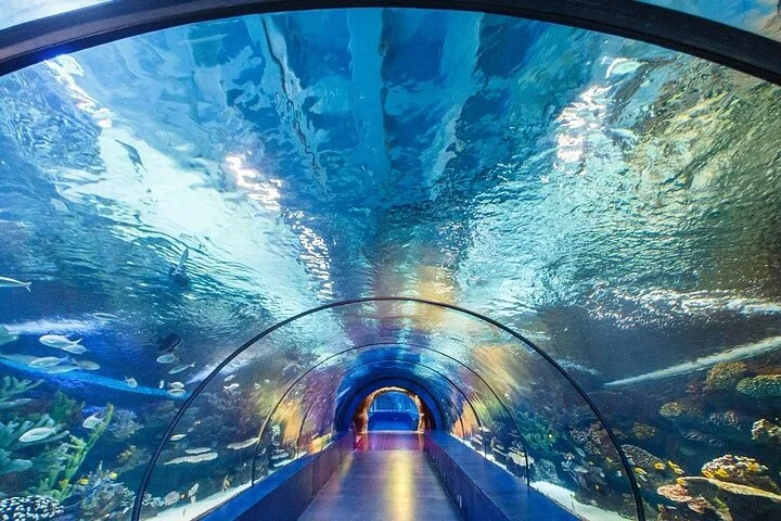 Antalya Tunnel Aquarium with Face2Face Transfers include
