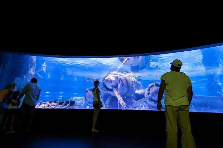 Antalya Tunnel Aquarium with Face2Face Transfers include