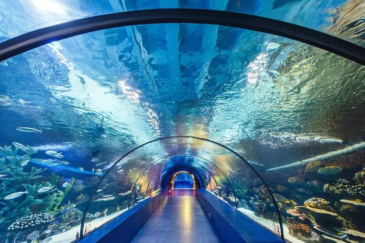 Antalya Tunnel Aquarium with Face2Face Transfers include