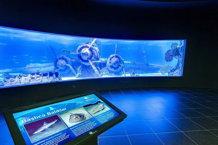 Antalya Tunnel Aquarium with Face2Face Transfers include