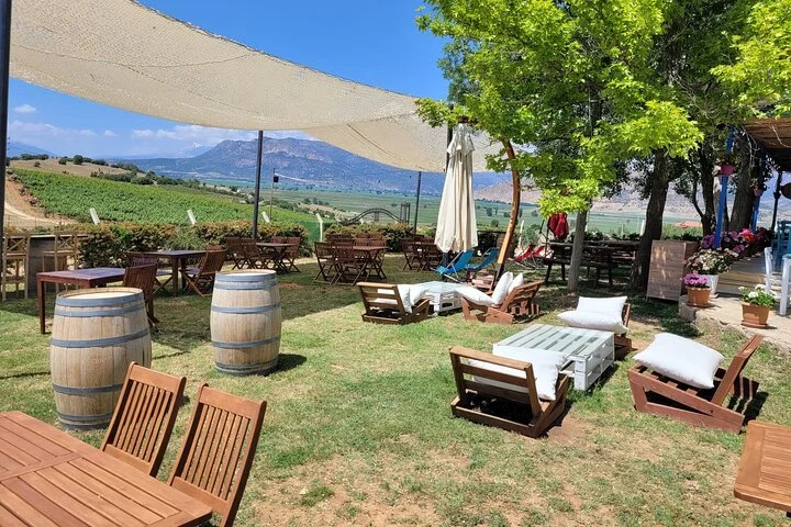 Arykanda and Likya Winery Tour A Blend of History and Wine