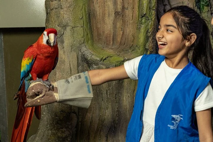 At the Top, Burj Khalifa + Dubai Aquarium