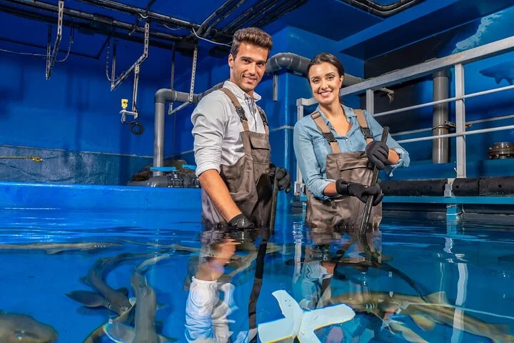 At the Top, Burj Khalifa + Dubai Aquarium